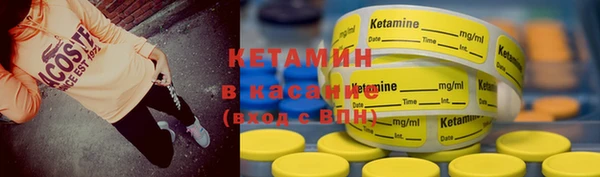 прущие грибы Новодвинск