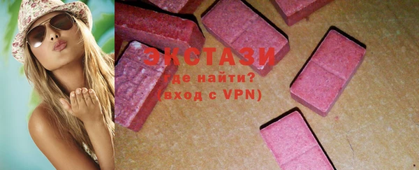 ECSTASY Богданович