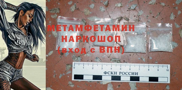 прущие грибы Новодвинск