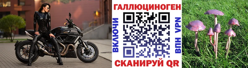 ОМГ ОМГ как зайти  Углегорск  Галлюциногенные грибы MAGIC MUSHROOMS 